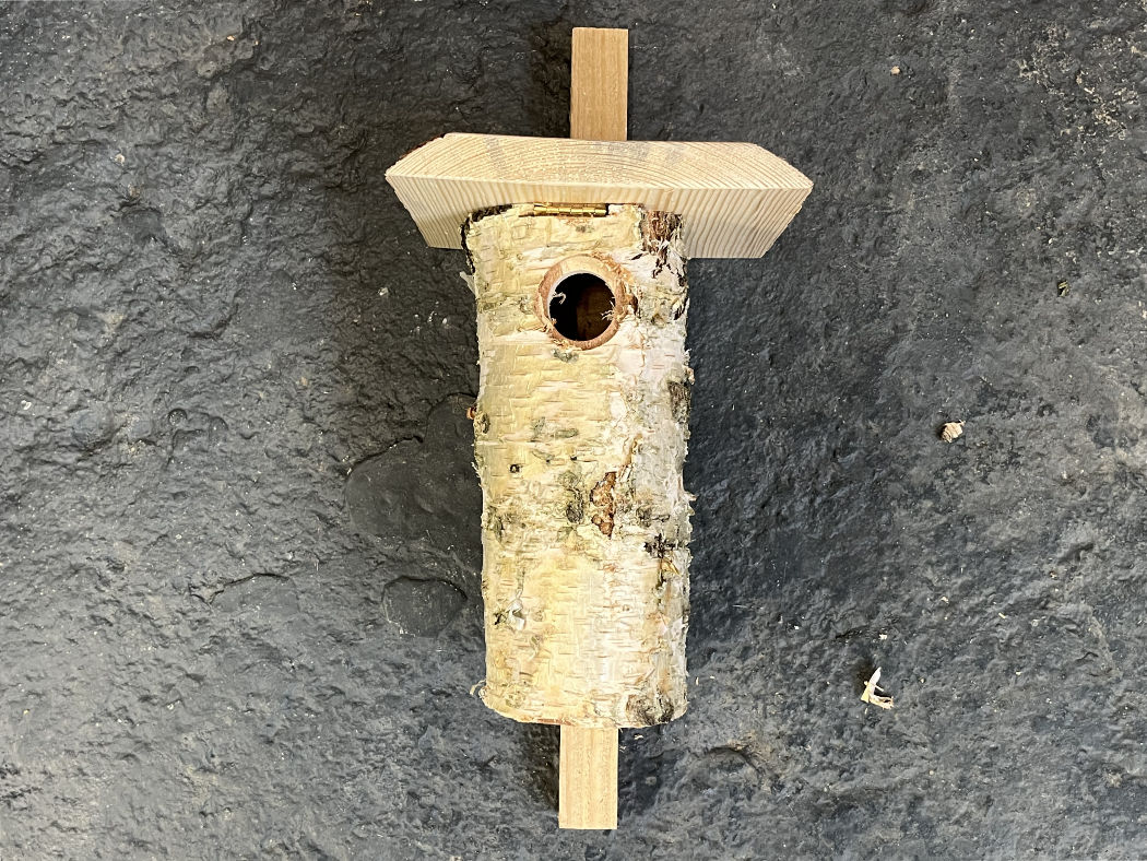 handgemachte Nisthilfe Birke – Bild 2